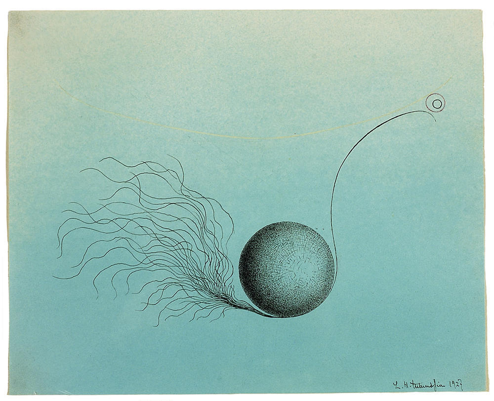 Biomorfismo